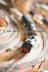 Réseau de train miniature