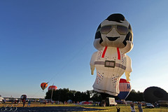 New Jersey Festival of Ballooning 2013
