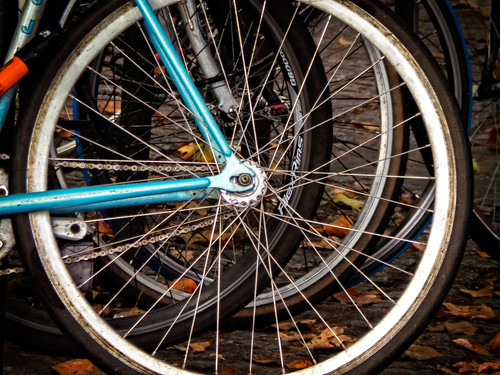 Bike Wheels by garryknight