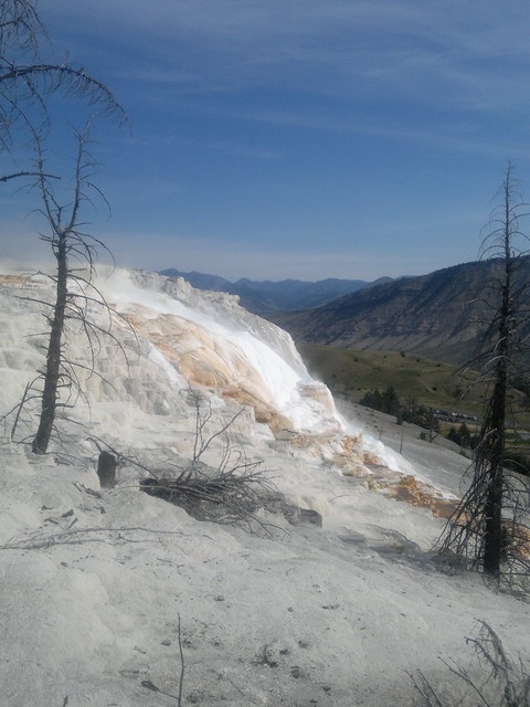 Miércoles Día 24 de Julio: Yellowstone (III) - 25 días por los parques nacionales del Oeste de USA: un Road Trip de 10500 kms (10)