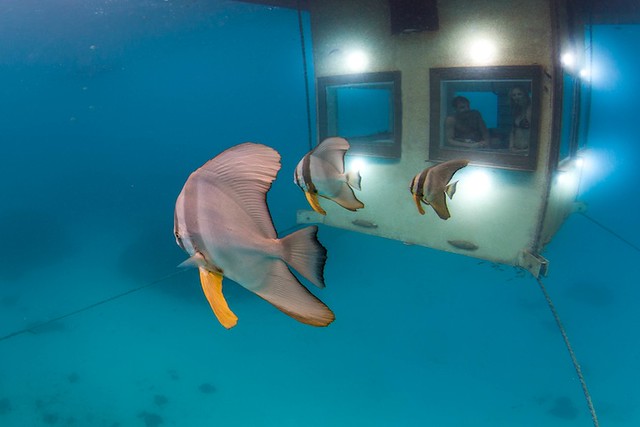 the-manta-resort-underwater-hotel-4