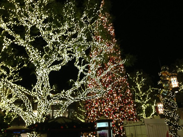 holiday lights at the Grove