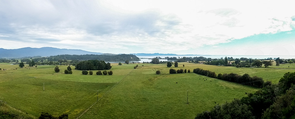 View from Grove Scenic Reserve