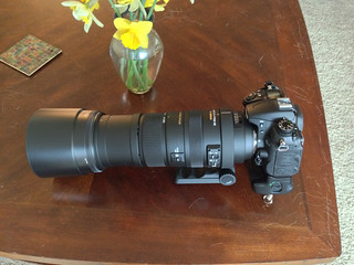 New lens - Sigma 150-500mm