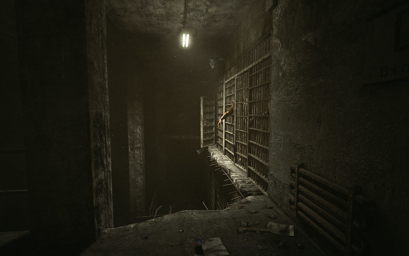 Outlast-review (4)