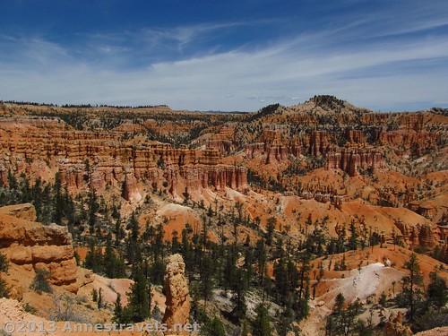 One of the many views from the Fairyland Trail, Bryce Canyon National Park, Utah