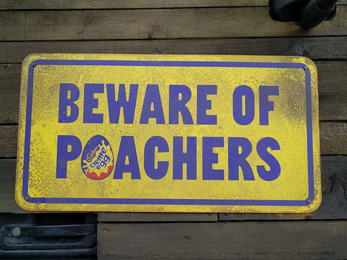 Beware of Poachers