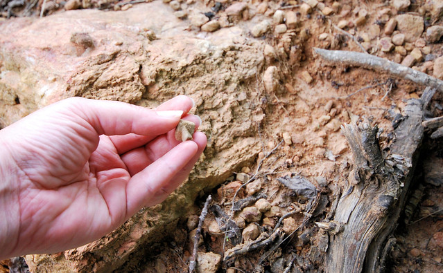 Fairy stone hunting is a popular activity all year.