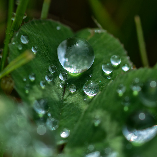 Raindrops-like-jewels