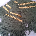 Kyoryugreen scarf