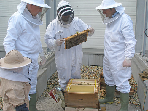 Princesshay beekeepers
