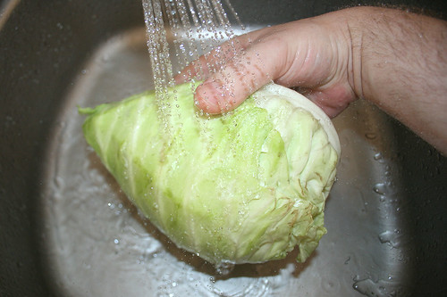 12 - Spitzkohl waschen / Wash cabbage