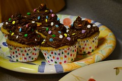Vegan Birthday Cupcakes