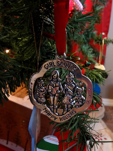 2013 Ornament 3