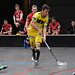 Unihockey Basel Regio-Unihockey Tigers (U-21A)