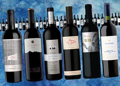 10 nuevos vinos para probar en la alta gama