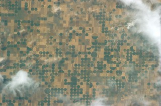 Like a Mondrian, fields in Kansas, USA