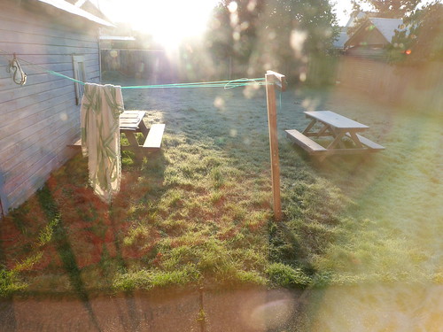 Backyard, Frosty Morning