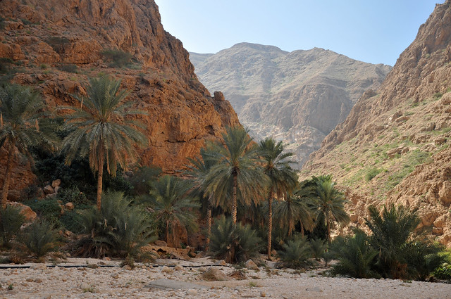 Wadi Shab (26)