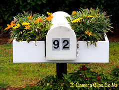FUN LETTERBOXES