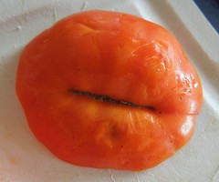 tomato madness
