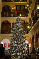 Christmas Tree in the Reception of Andaluz
