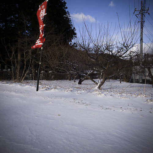 Temple Flag and Orchard, Yakushi Onsen (Hot Spring)
