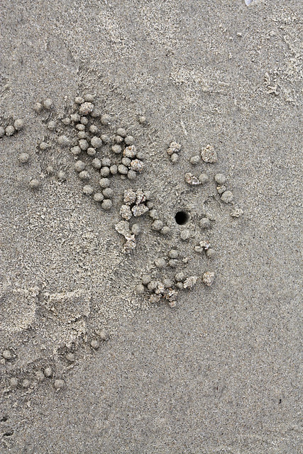 Holes in the sand