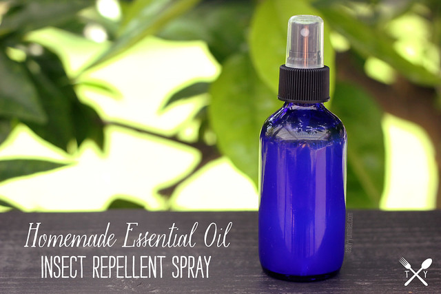 Homemade Essential Oil Insect Repellent Spray