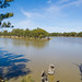 The junction of the Murray and Darling Rivers at Wentworth
