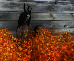 Hide by dy secondlife