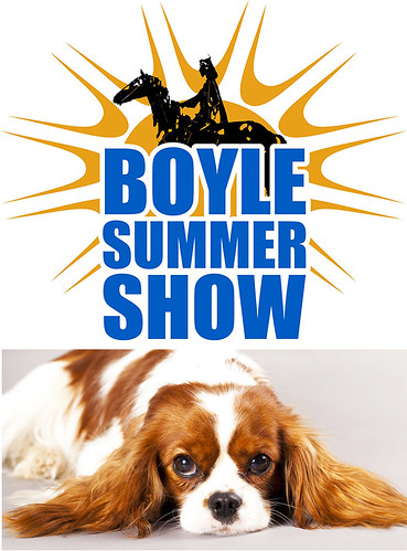 Boyle Summer Show Dog