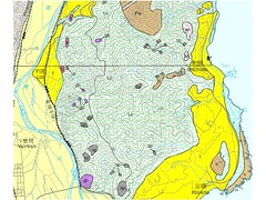 杉原灣也是屬利吉混同層：亮黃色區域(地球公民基金會提供)