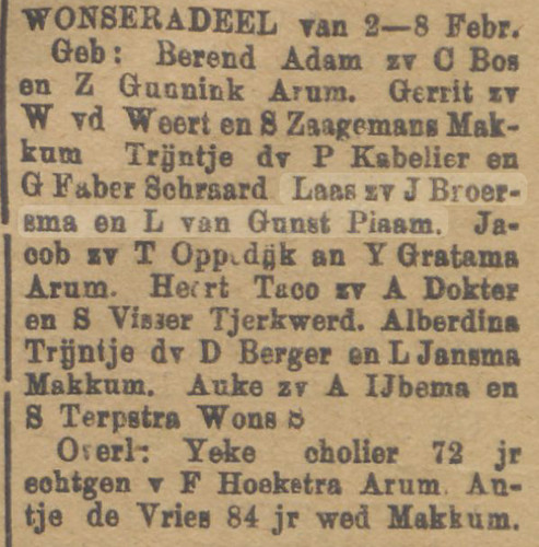 Nieuw Advertentieblad 13 Feb 1901 Laas Broersma Birth copy