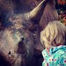 Child versus triceratops, Calgary Zoo.