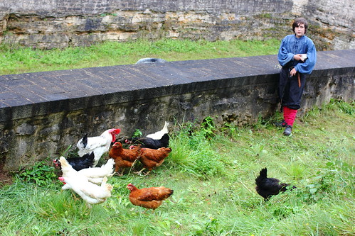 Chickens and the Chicken Boy