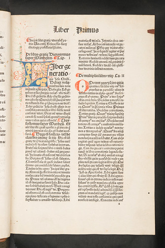 Illuminated initial in Vincentius Bellovacensis: Opuscula