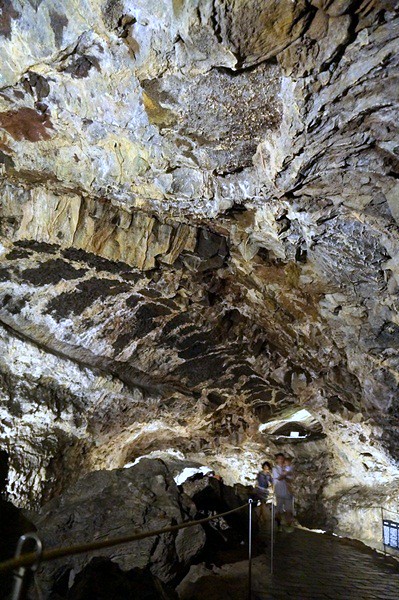 Hallim Park, Hyeopjae-Ssangyong Caves-075