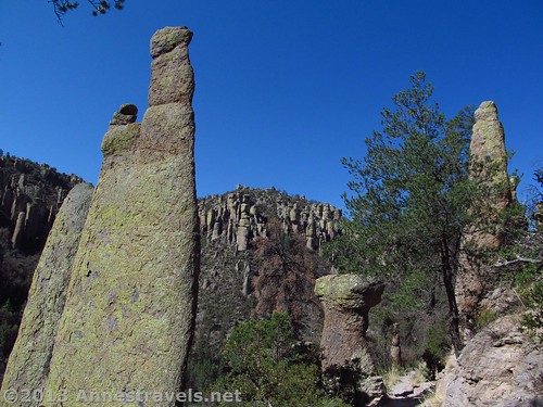 Tall spires on the Ed Riggs Trail, Chiricahua National Monument, Arizona