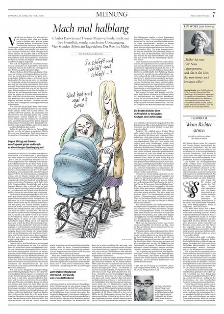 Article about REST in Der Tagesspiegel