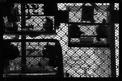 Marziyas Bird Cage by firoze shakir photographerno1