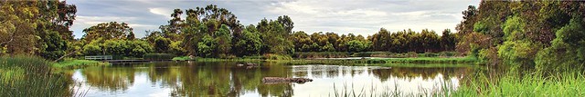 Laratinga Wetlands 實景。(Source: the District Council of Mount Barker website)
