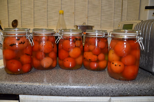 pickled tomatoes Oct 13