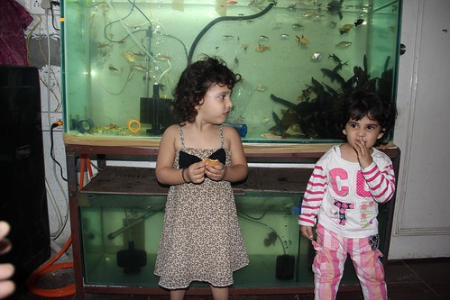 Zinnia Fatima And Nerjis And Marziyas Fish Tanks by firoze shakir photographerno1