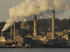 Port Townsend Paper Company