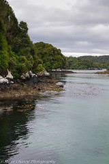 New Zealand - Rakiura Stewart Island