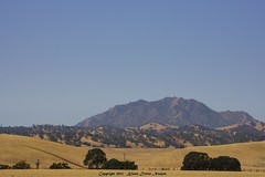 			Klaus Naujok posted a photo:	Mount Diablo. What a difference a few months make. Gone is the green grass in the foothills.
