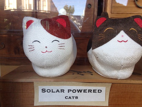 Solar Powered Cats