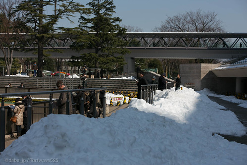 20140217 さらに雪の東京競馬場 / More Snowy Tokyo R.C.