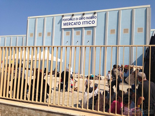 Immigrati, nuovi sbarchi a Lampedusa e Capo Passero$